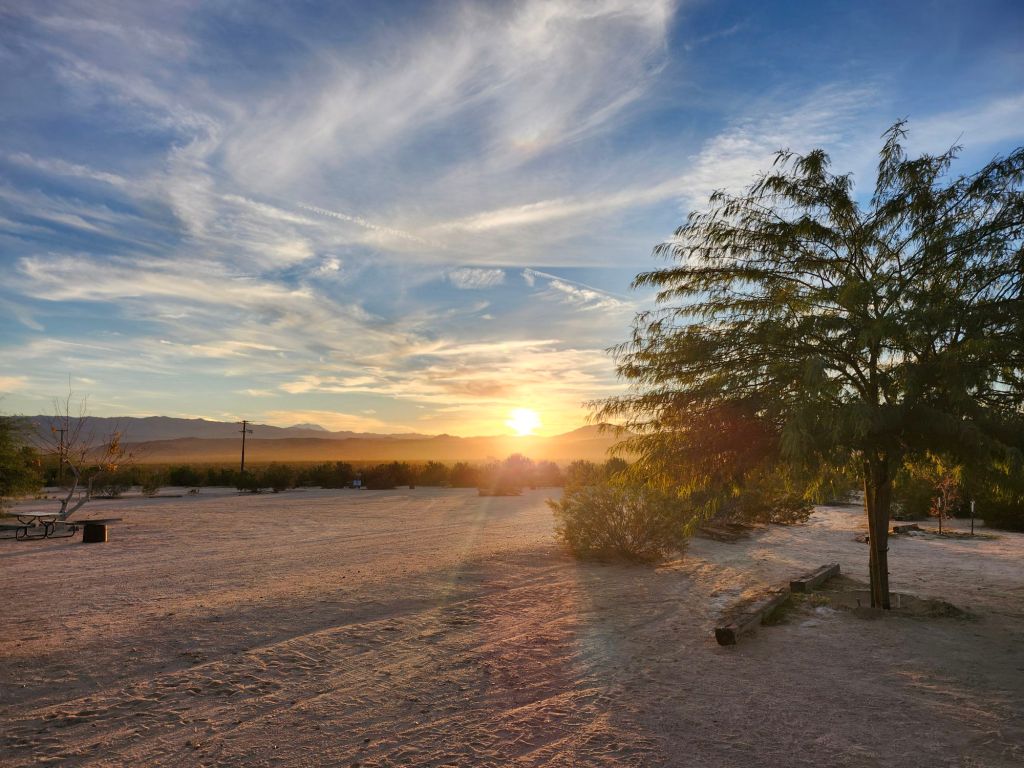 Wild and Wonderful Mojave&nbsp;Desert