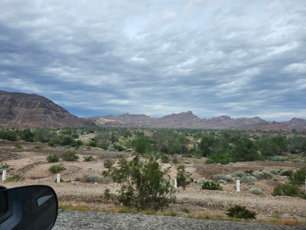 20251223_1009402607698538602301891