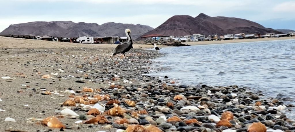 img-20251231-wa00073742319851410777453