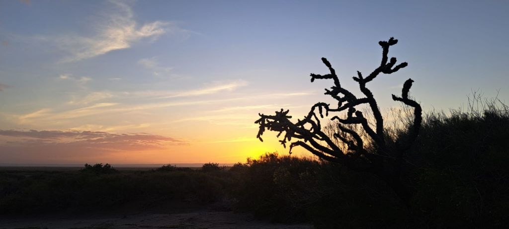 img-20260118-wa000370116023756509578