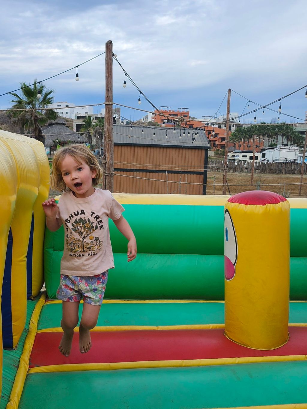 20260120_0816406028802131043178776