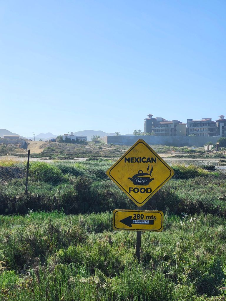 20260121_0932156823872539975945412