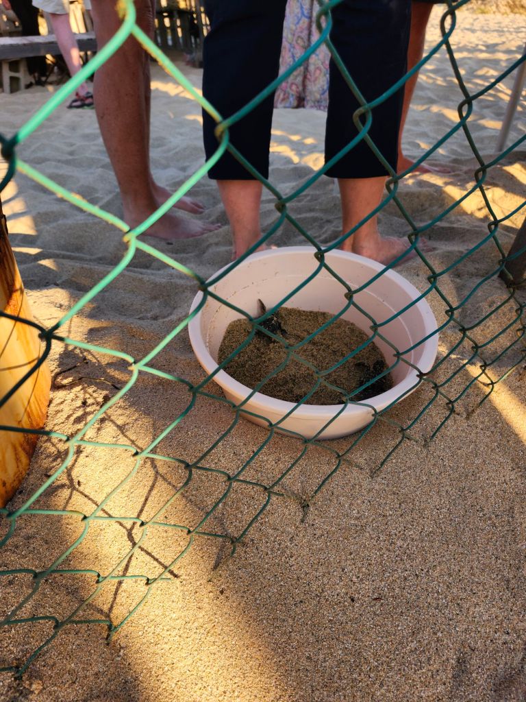 20260121_1731536034334687684507108