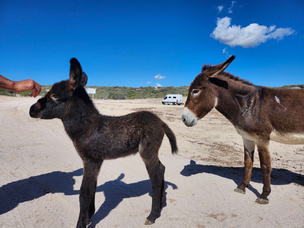 20260124_1320188141381051065962552