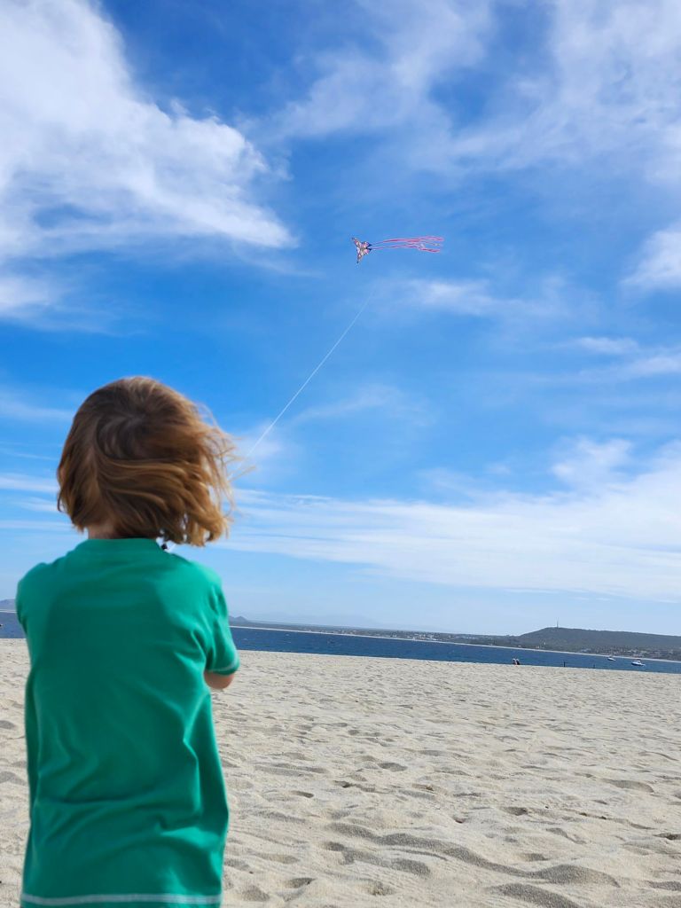 20260127_142711938029691310394300