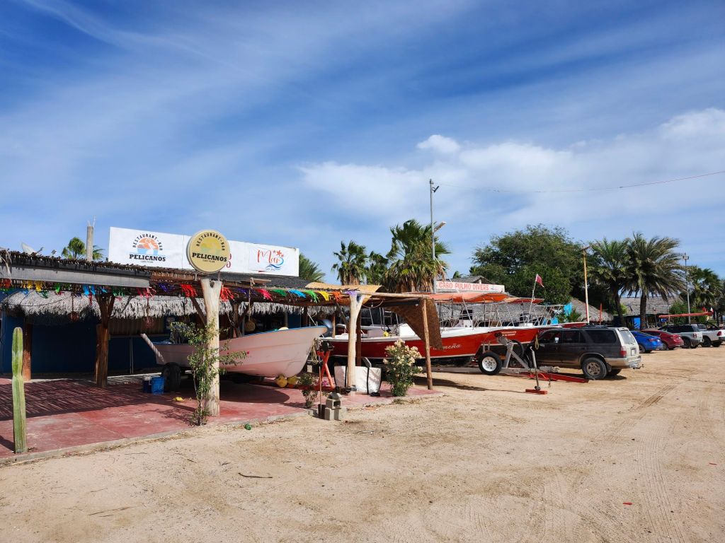 20260129_1235068144118273310949992