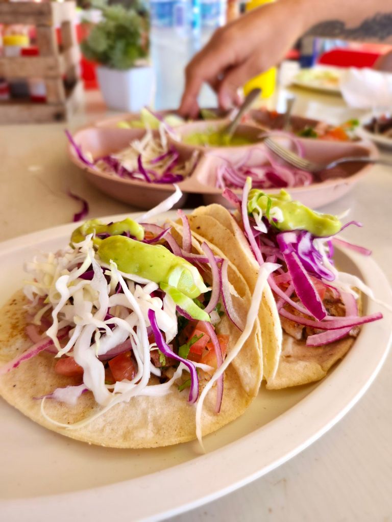 20260202_1146356330156939853500014