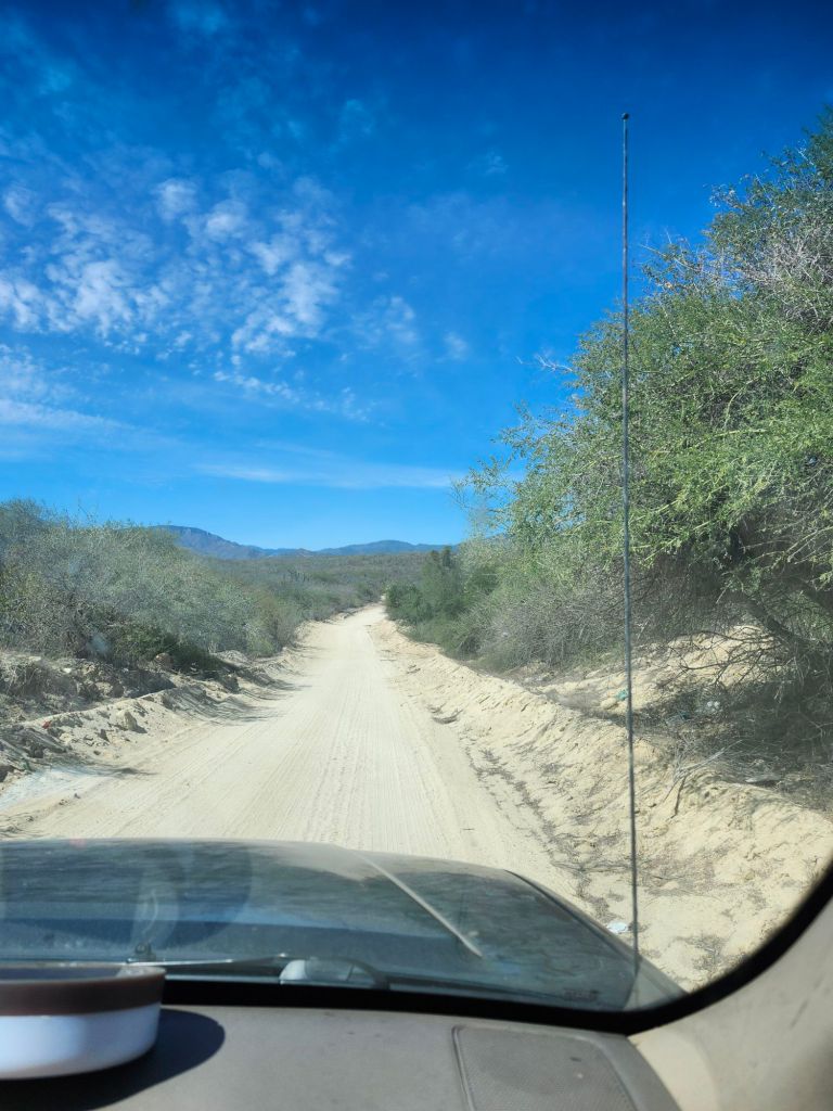 20260206_1258477296479774822178351