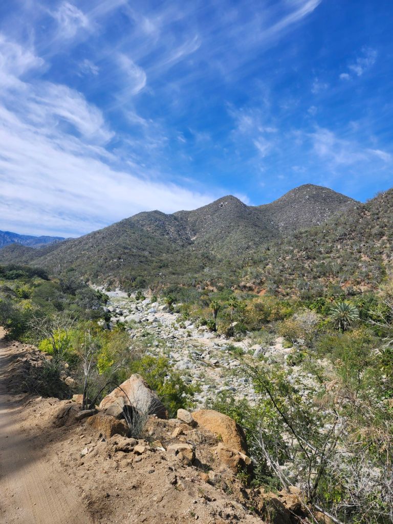 20260206_1348521103494527084212969