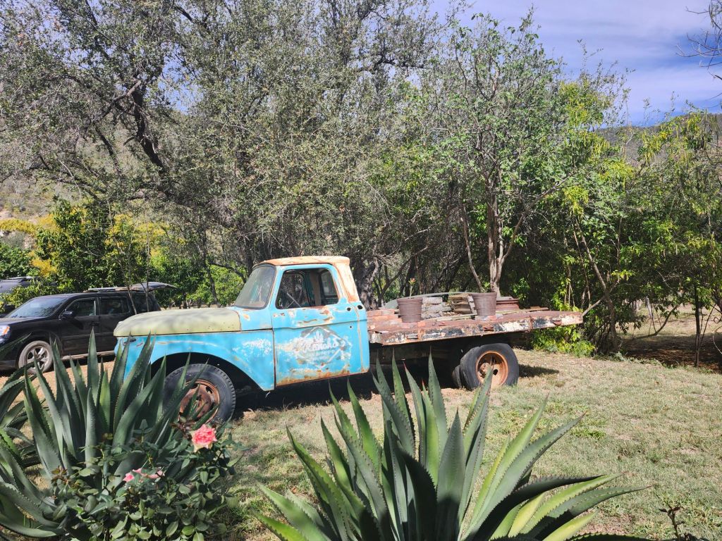 20260206_1410578672189267561261285