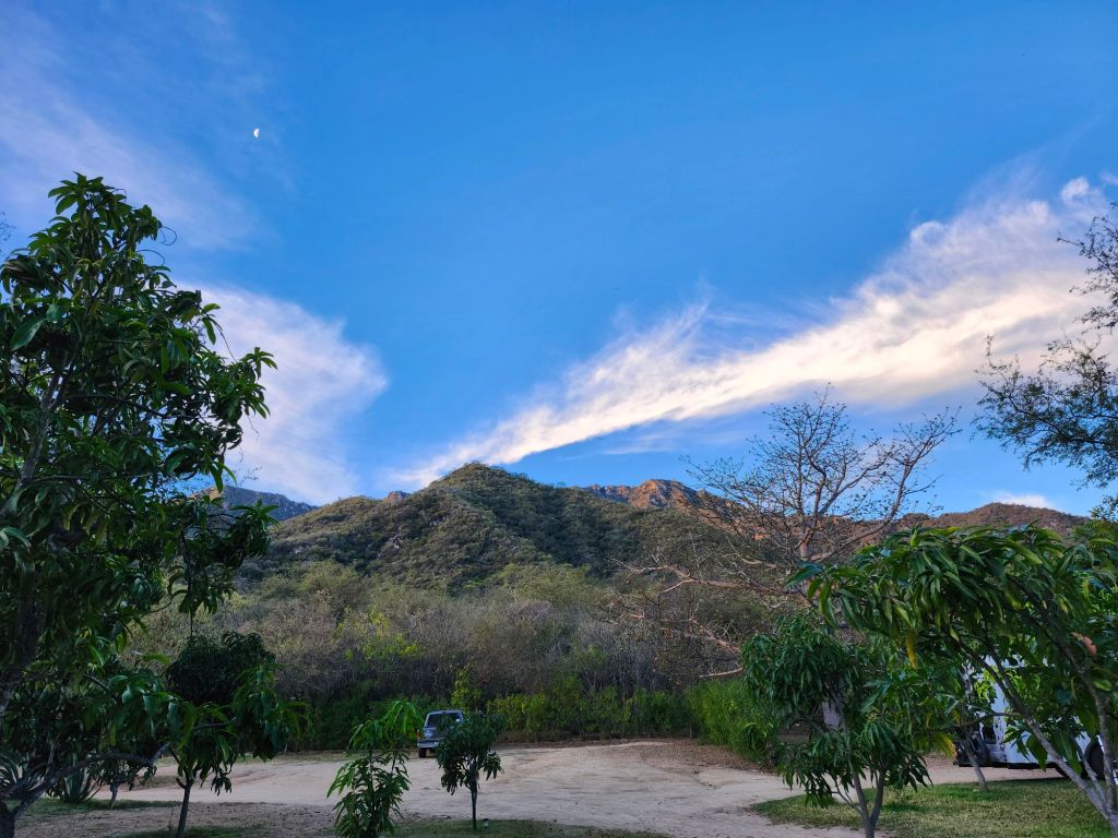 20260209_0710184896878011581068811