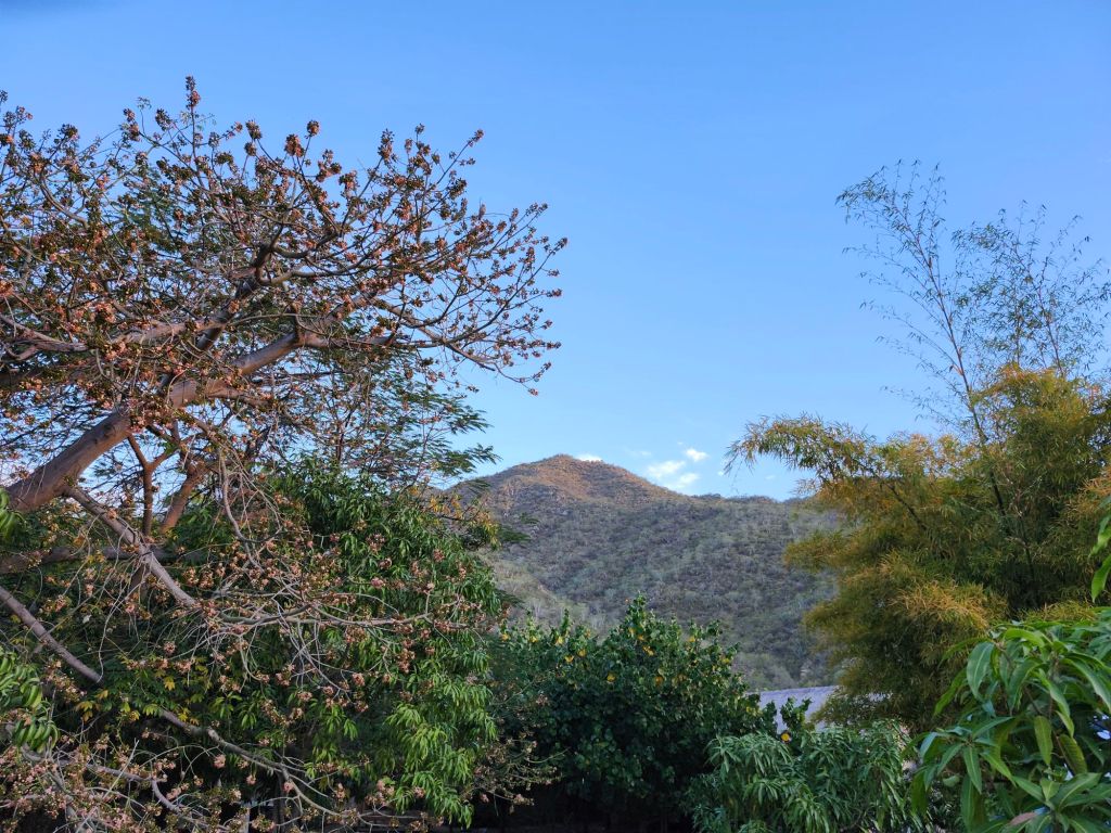 20260209_0710382812431391577247220