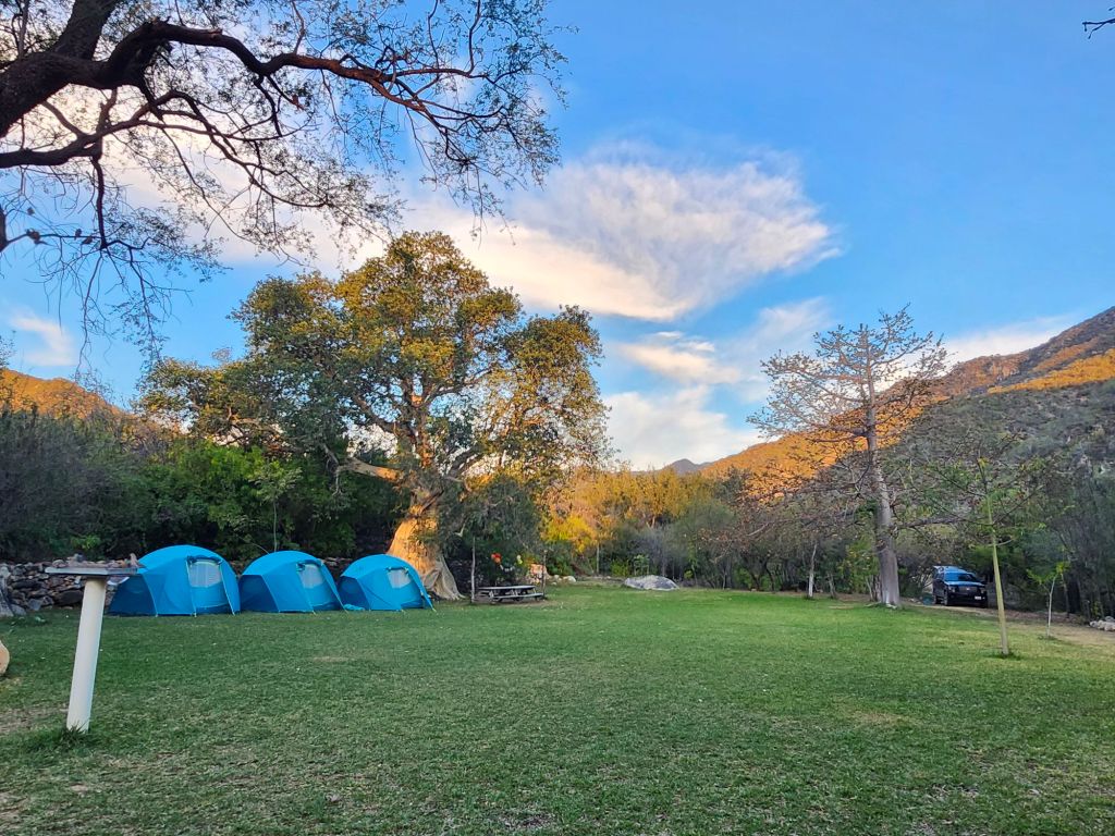 20260209_0711428546644074434817524