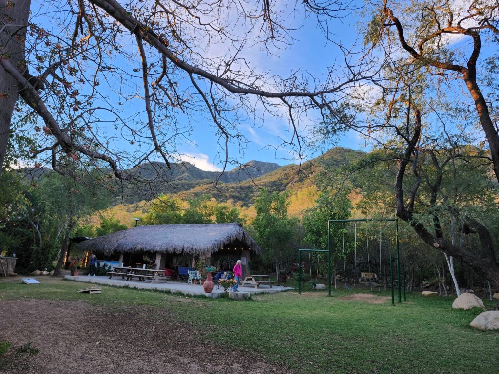 20260209_0713428914124941982989362