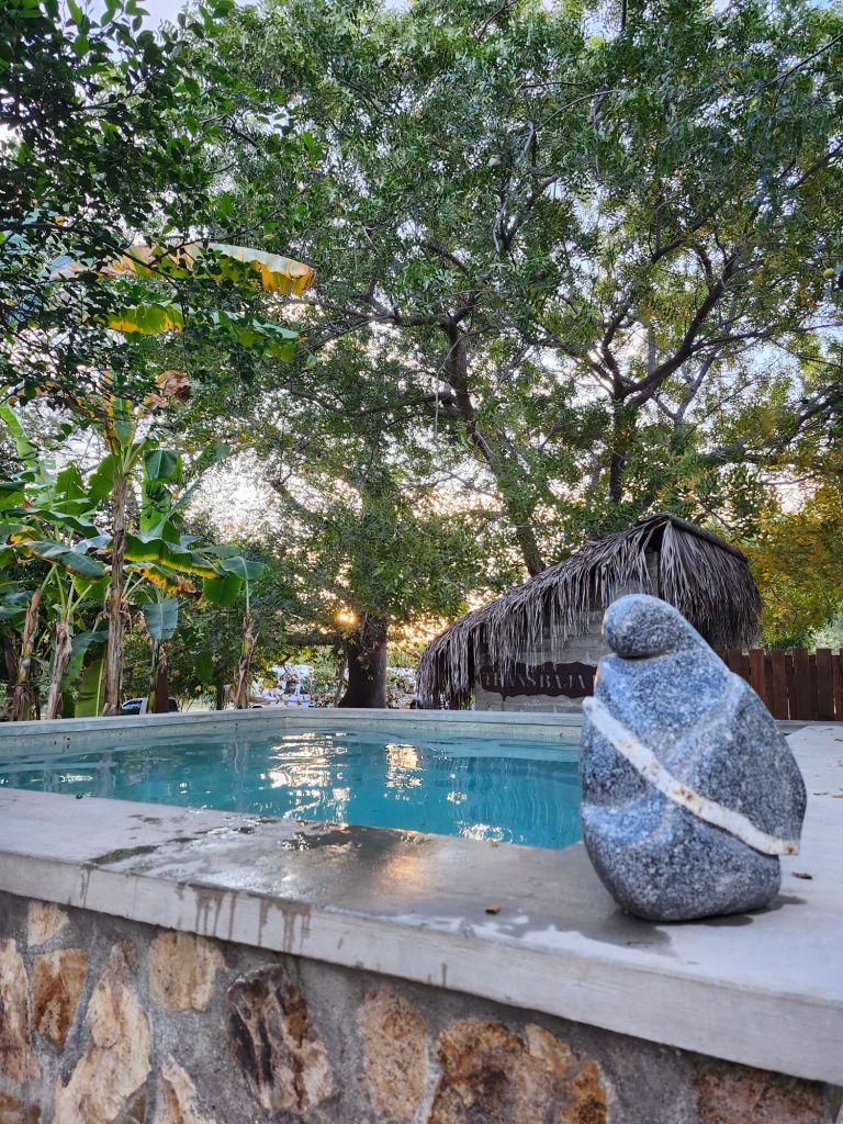 20260209_0715023056634159143228208