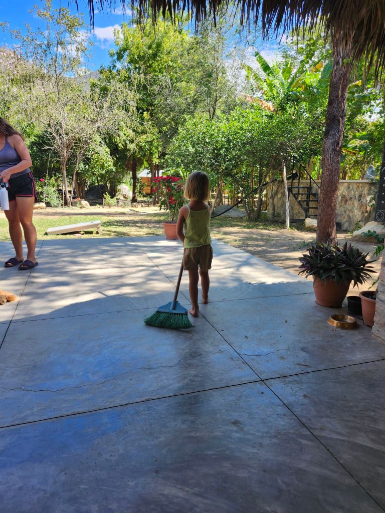 20260209_1116042589124783172576236