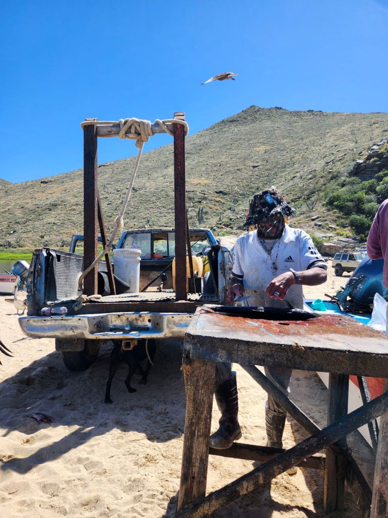 20260221_1207505278283533103159165