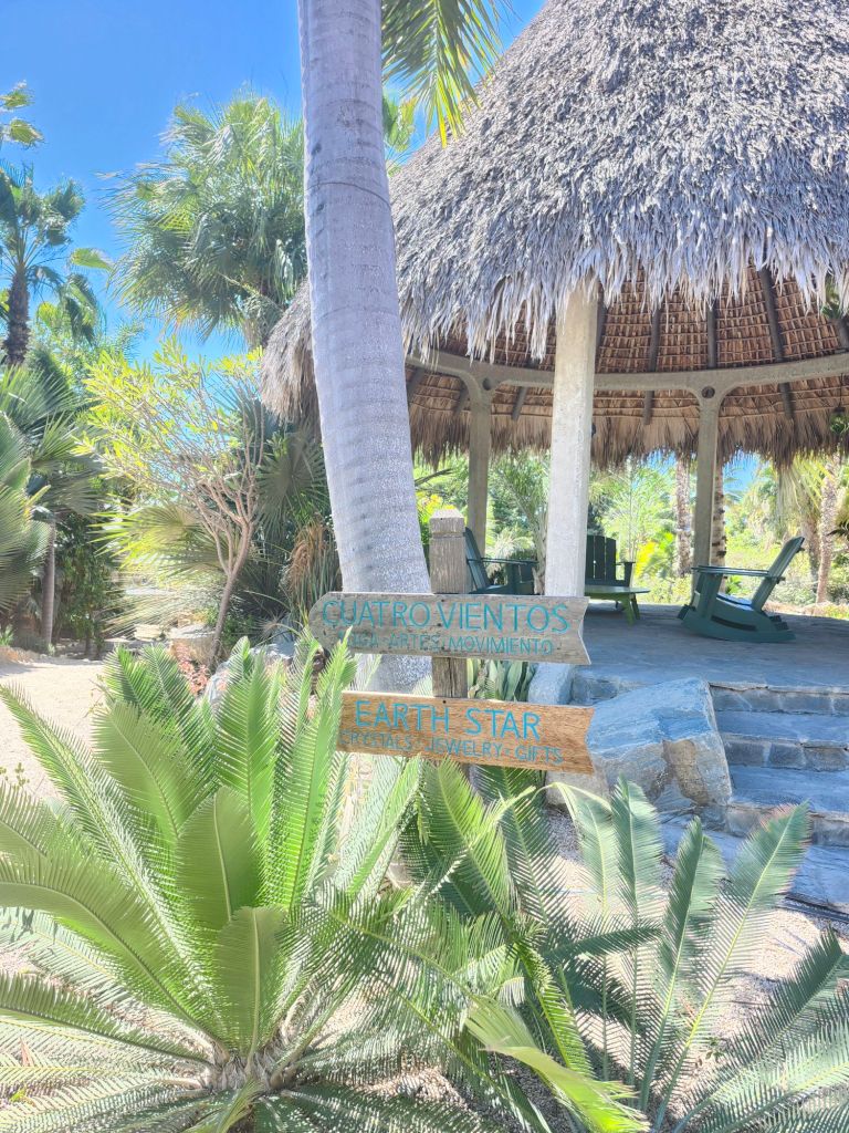 20260222_1236281451239365719906467