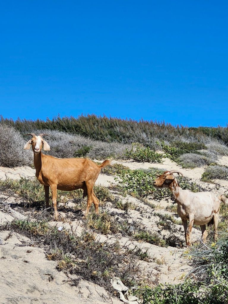 20260224_1444186080669837002426120