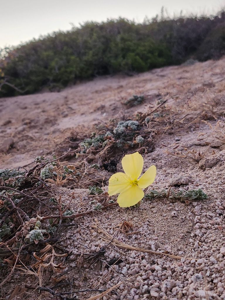 20260225_1831158293671931208123071