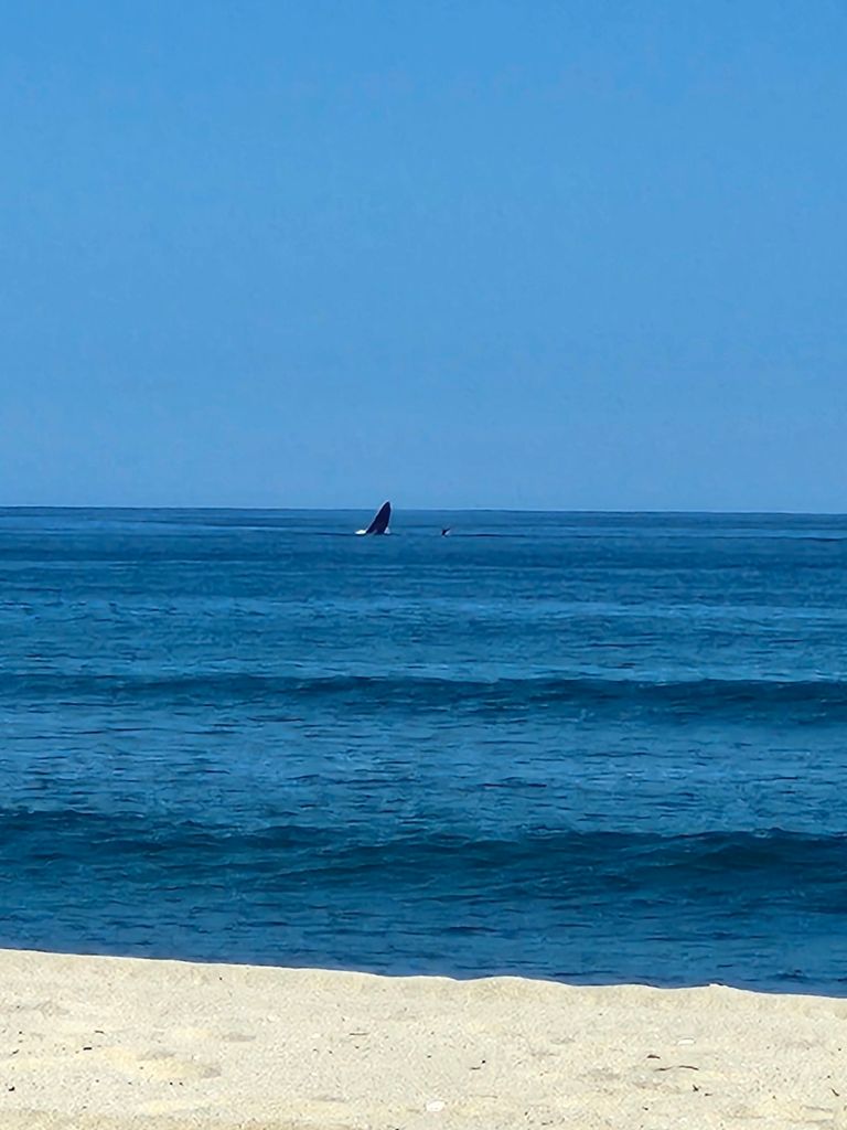 20260227_1445067389754781063759783