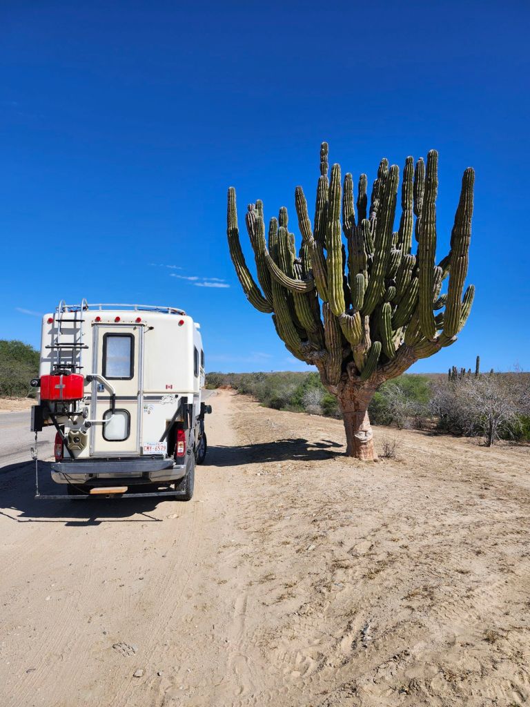 20260303_102457681744573734599107