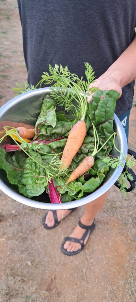 img-20260304-wa00048048337870400687936