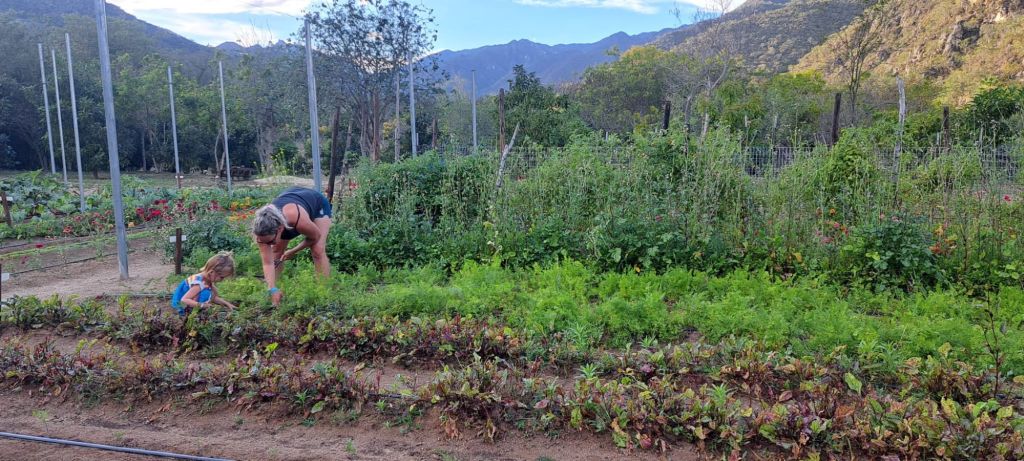 img-20260304-wa00068695983635114359009