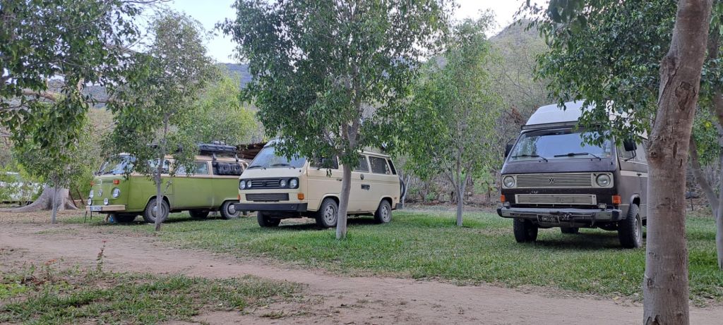 img-20260304-wa0007477953894166247608