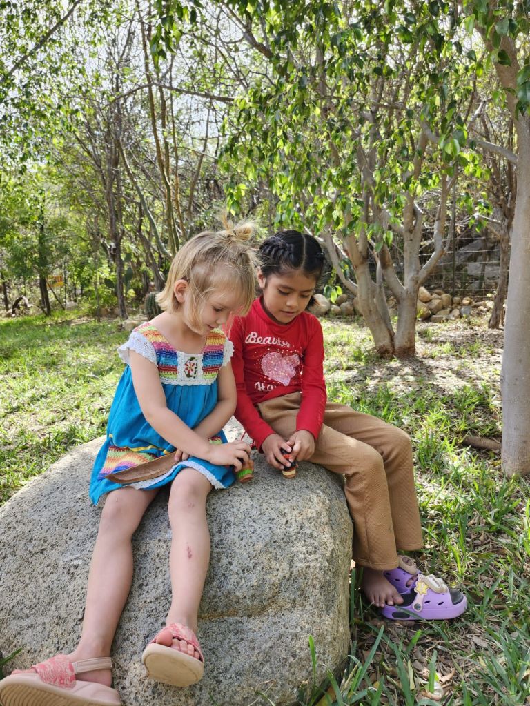 img-20260304-wa00088615407111626721822